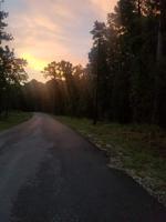 Shoreline Drive Lot 35 Sec 34