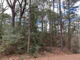 Lot 88 Sec 11 Duffer Drive