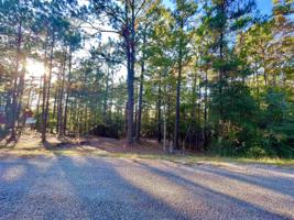 TBD Pine Hollow Cove