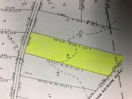 #29 Section E 3 Live Oak
