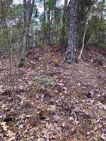 Lot 250 Pinehurst