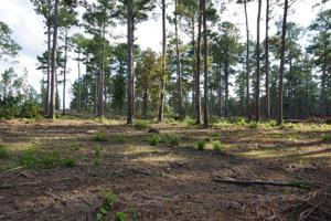 Tract #1-34 Private Road 6026