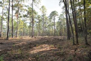 Tract #1-39 Private Road 6026