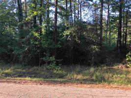 000 County Road 219