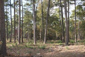 Tract #1-51 Private Road 6026