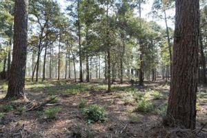 Tract#1-53 Private Road 6026