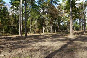 Tract#1-55 Private Road 6026