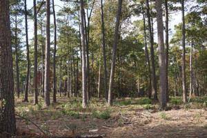 Tract#1-57 Private Road 6026