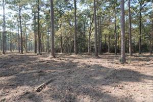 Tract#1-62 Private Road 6026