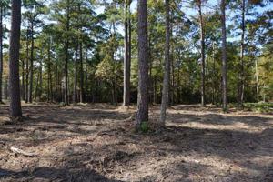 Tract#1-64 Private Road 6026