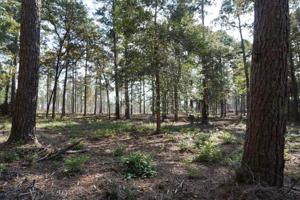 Tract#1-65 Private Road 6026