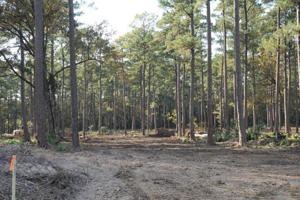 Tract#1-66 Private Road 6026