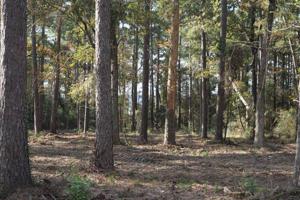 Tract#1-68 Private Road 6026