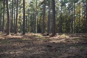 Tract#1-82 Private Road 6026