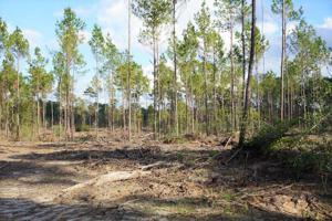 Tract#1-84 Private Road 6026