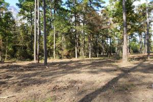 Tract 1 Lot 1 PR 6026
