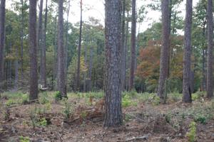Tract 1 Lot 3 PR 6026