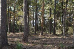 Tract 1 Lot 5 PR 6026