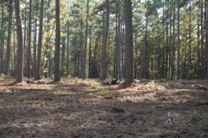 Tract 1 Lot 6 PR 6026