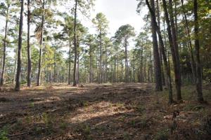 Tract 1 Lot 7 PR 6026