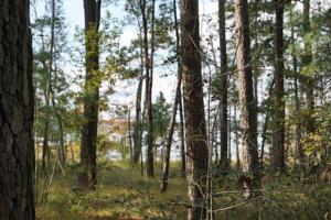 Tract 1 Lot 11 PR 6026