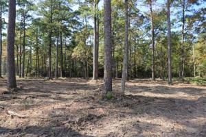 Tract 1-47 Private Road 6026