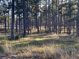 Tract 1-90 Private Road 6026