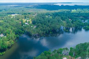 272 Longleaf