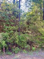 000 Spruce Lane
