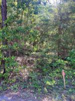 00 Spruce Lane