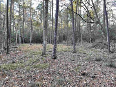 SEC 15 Lot 49 Dusky Ln.