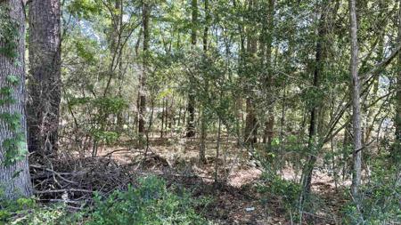 171 Beasley LN