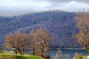 000 Harbor View, Lot #33