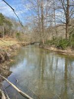 0 Spruce Pine