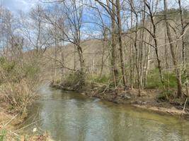 0 Spruce Pine