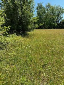 Lot 6 Lebanon Road
