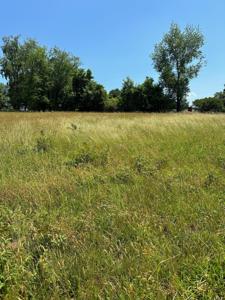 Lot 7 Lebanon Road