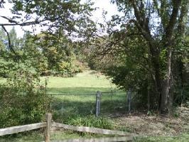 200 Tulip Tree Road