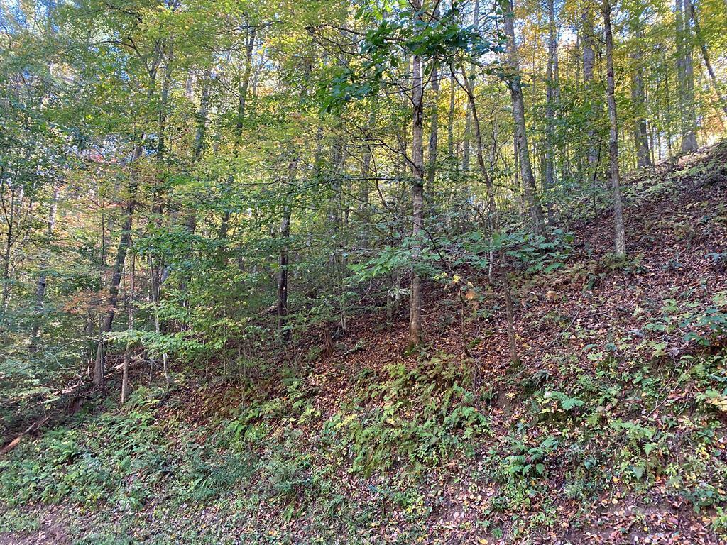 Image 4: CAN4