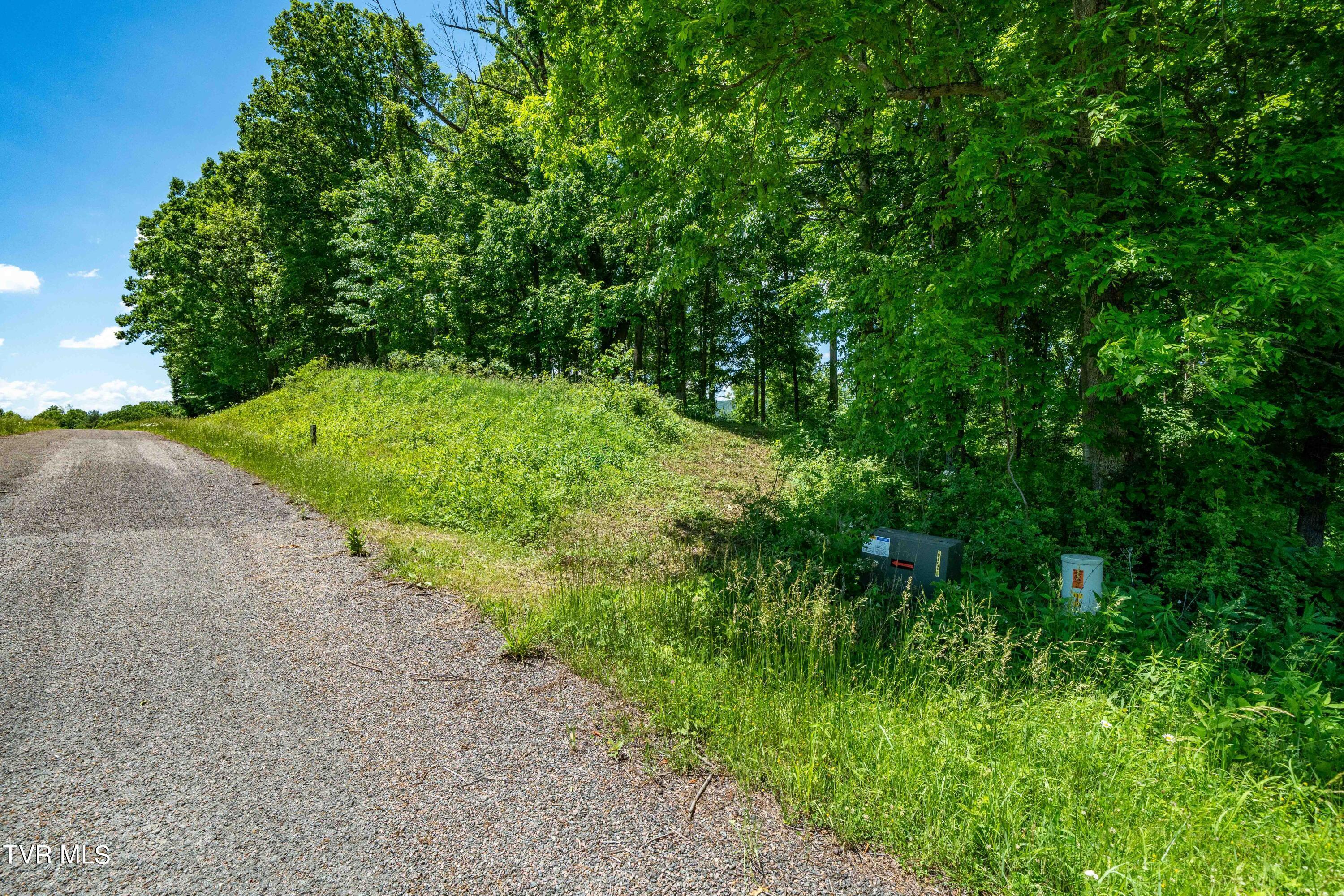 Image 2: TBD Lot 43 Watauga Ridge Rd (23 of 69)