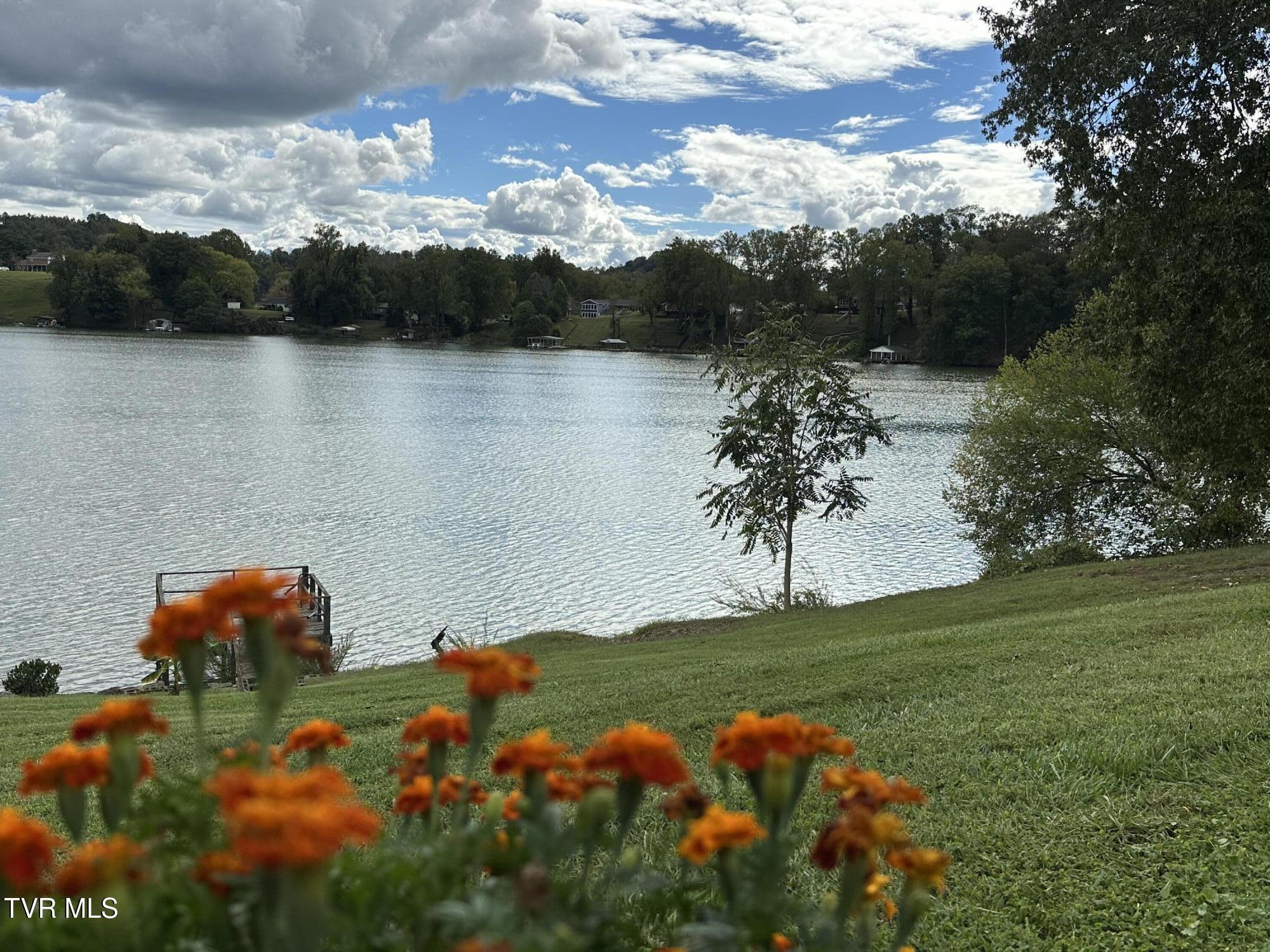 Image 4: LAKE FRONT LIVING