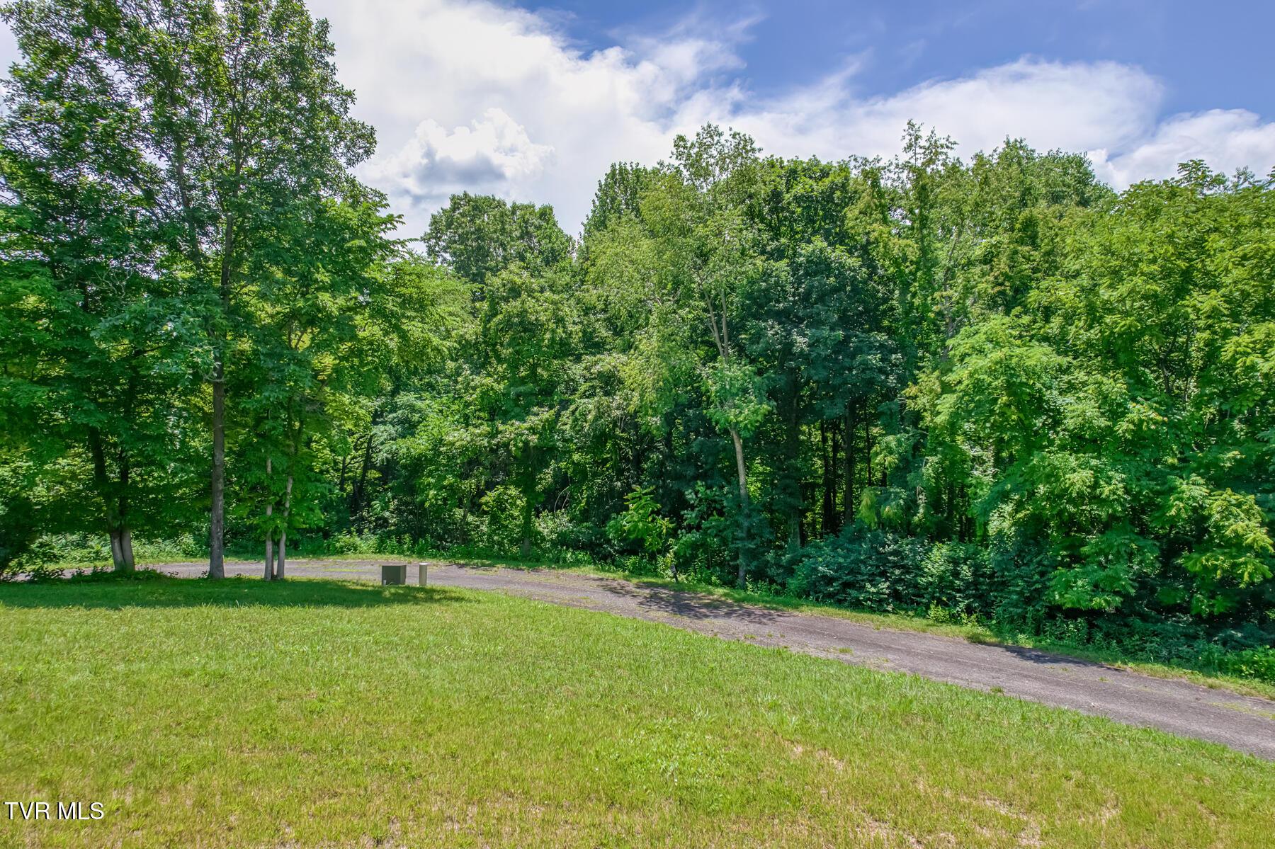 Image 3: Lot 50, Redbud Cir-1