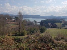 Lot 163 Hoppers Bluff Lot 163