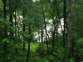 Lot 11 Walnut Bend Drive