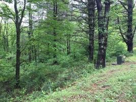 822 SUGAR HOLLOW Road