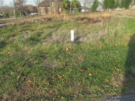 504 Hickory Tree Private Drive