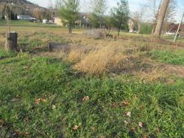 512 Hickory Tree Private Drive