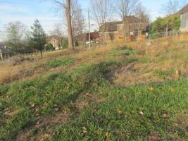 516 Hickory Tree Private Drive