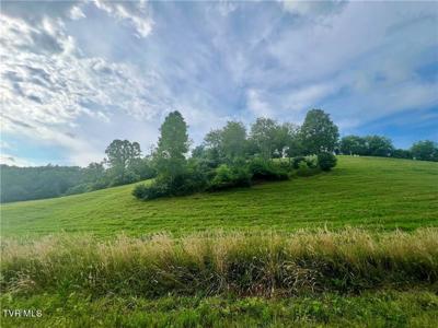 Lot 15 Silver Oak Trail