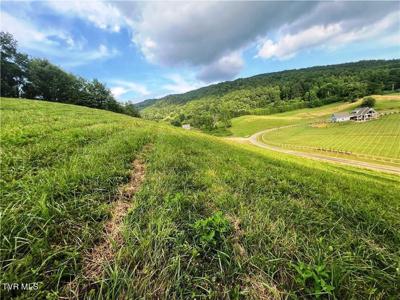 Lot 79 Silver Oak Trail